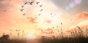 banner 3