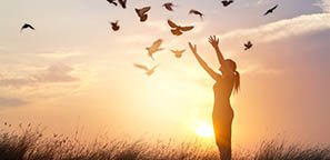 banner 1